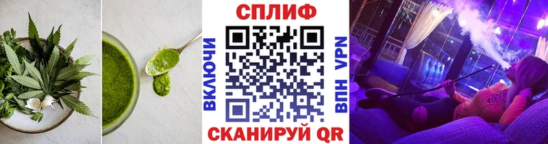 Canna-Cookies конопля  Тбилисская 