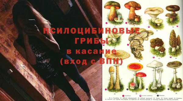 спайс Абаза